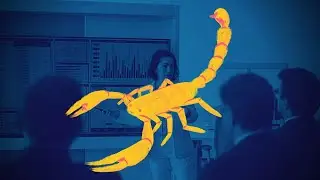 I got a scorpion bite before my Ph.D. Defense 🦂