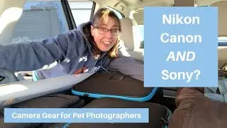 Camera Gear for Pet Photography | Sony Nikon AND Canon?