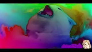 Preview 2 Astronomia Cat Effects Round 2 Vs. Galaxy Wolf