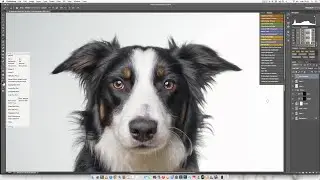 Photographing and Retouching Apollo