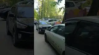 И как они это делают? Наверное в этом доме живут добрые соседи?