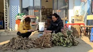 Harvest tubers in the forest and bring them to the city market to sell | king kong amazon | Fp 298