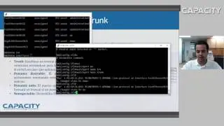 VLAN Trunks ISL vs dot1Q