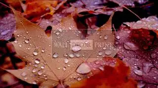 Fine Art Photography