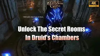 Baldur's Gate 3 - Druid's Chambers Rune Puzzle - Enclave Library