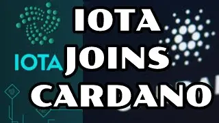 IOTA joins cardano in 2021 big projects oncoming