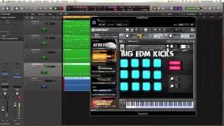 Echo Sound Works - EDM Kicks V.1 - Sample Pack