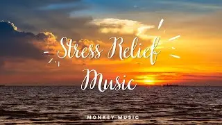 Relaxing Stress Relief Music[ 3 ]||🐵 MONKEY MUSIC