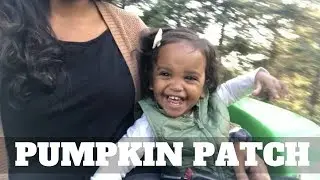 2018 Pumpkin Patch | An Explanation Of What's Going On