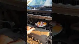 EGGS ON THE ENGINE
