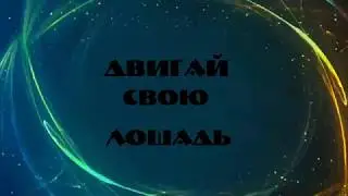 Wester Фризская лошадь. конный блог. Подвинь свою лошадь