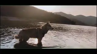 Bounce - JEYKO / CASPER CHAVA