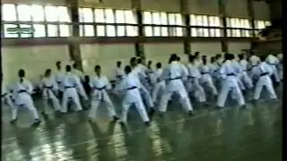 ХИТОШИ КАСУЯ СЕМИНАР В РОСТОВЕ 1996 часть 1