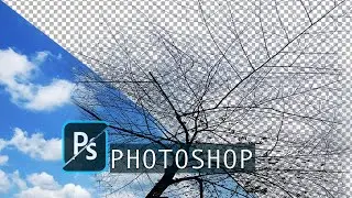 How to remove backgroun in Photoshop... 