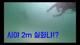 갈라파고스 리버보드 어그레서 탑승~!!
