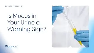 What does mucus in urine mean? Is Mucus in Your Urine a Warning Sign?