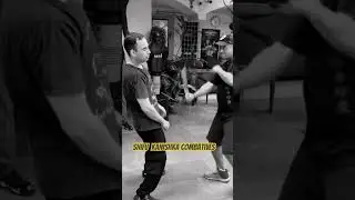 The Blade Art #martialarts #selfdefensetechniques #kungfu #fma #knifeskills #shifu #mma #eskrima