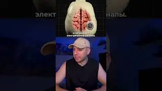 THE FUTURE OF NEURALINK 