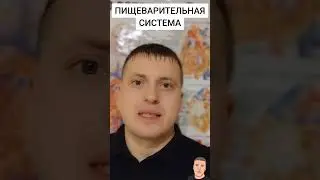 НАША ПИЩЕВАРИТЕЛЬНАЯ СИСТЕМА