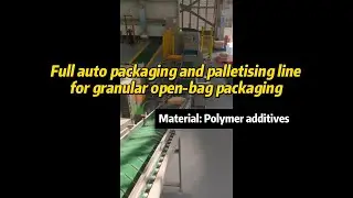 Full auto packaging and palletising line for granular open-bag packaging Material: Polymer additives