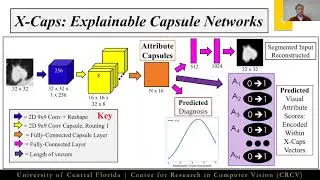 X-Caps: Encoding Visual Attributes in Capsules for Explainable Medical Diagnoses | MICCAI 2020