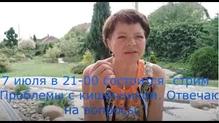 7 июня в 21-00 состоится стрим 