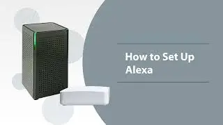How to Set Up Alexa with the OMNI IQ App - OMNI Support - DirectLink