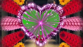 3D Dil  wedding Green screen effects background HD Video 52