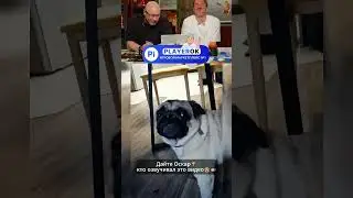 ЗАСМЕЯЛСЯ - ПОПДИСАЛСЯ! Ч35😅 ПОПРОБУЙ НЕ УЛЫБАТЬСЯ!