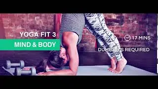 1FitLife - Yoga Fit 3