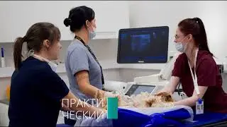 МК «Урология/нефрология + навыки УЗД МВС для терапевта» 28-29.11.2021