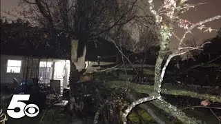 Storm damage in 5COUNTRY | April 2024