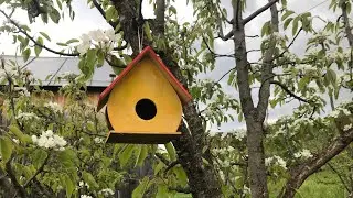 Уходят из дома дети , уходим мы …