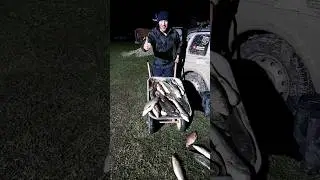 Рыбы много не бывает!🐟🐟🐟 ПОДПИШИСЬ 👍👍👍 