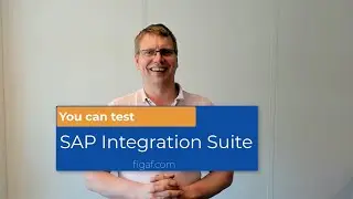 You need to test your SAP Integration Suite/CPI