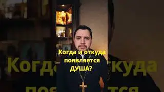 Когда появляется душа? #православие #священник #проповедь #святыеотцы #евангелие #христианство