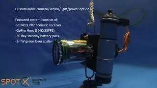 Underwater camera trap (GoPro Hero 8)