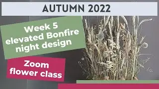 Elevated design for Bonfire Night | Zoom flower class