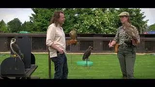The Truth About Falconry in Medieval Times