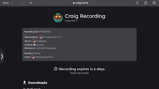 How do you record a call with audio (discord bot mobile free walk through)