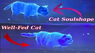 Cat Soul Shapes ~ Regular form & Well Fed Form (World of Warcraft)