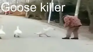 Dangerous situation goose killer Опасная ситуация