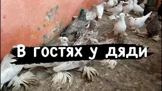 В гостях у Дяди 