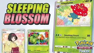 UNDEFEATED ! Permanent Sleep With Vileplume Deck - Pokemon TCG Pocket