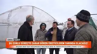 Başkan Okay Kar Yağışından Etkilenen Sera Ve Tarım Arazilerini Ziyaret Etti