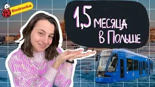 45 дней в Польше. Мои выводы. Жильё, расизм, цены, транспорт, тоска по родине.