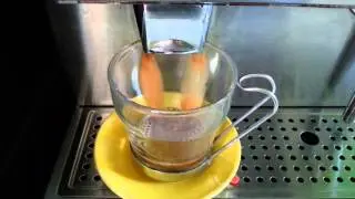 Gaggia Titanium Espresso Machine