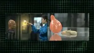 snake_kung_fu_VS_snake.flv
