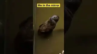 Me in the mirror
