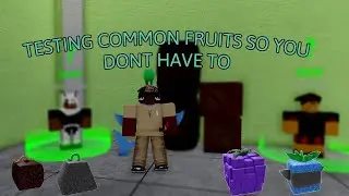 TESTING COMMON FRUITS SO YOU DONT HAVE TO | BLOX FRUITS | ROBLOX